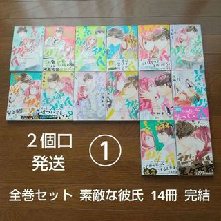 ① ２個口発送 全巻セット 素敵な彼氏 14冊 河原和音(全巻セット)