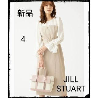 ジルスチュアート(JILLSTUART)のJILL STUART【新品】【Endy ROBE】パーシャワンピース(ロングワンピース/マキシワンピース)