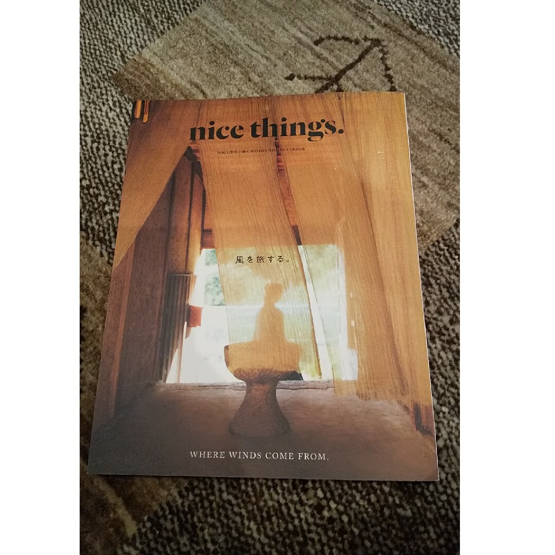nice things エンタメ/ホビーの雑誌(生活/健康)の商品写真