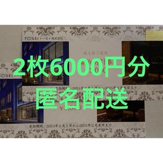 トーセイ 株主優待 宿泊割引券 3000円×2枚(6000円分)(宿泊券)