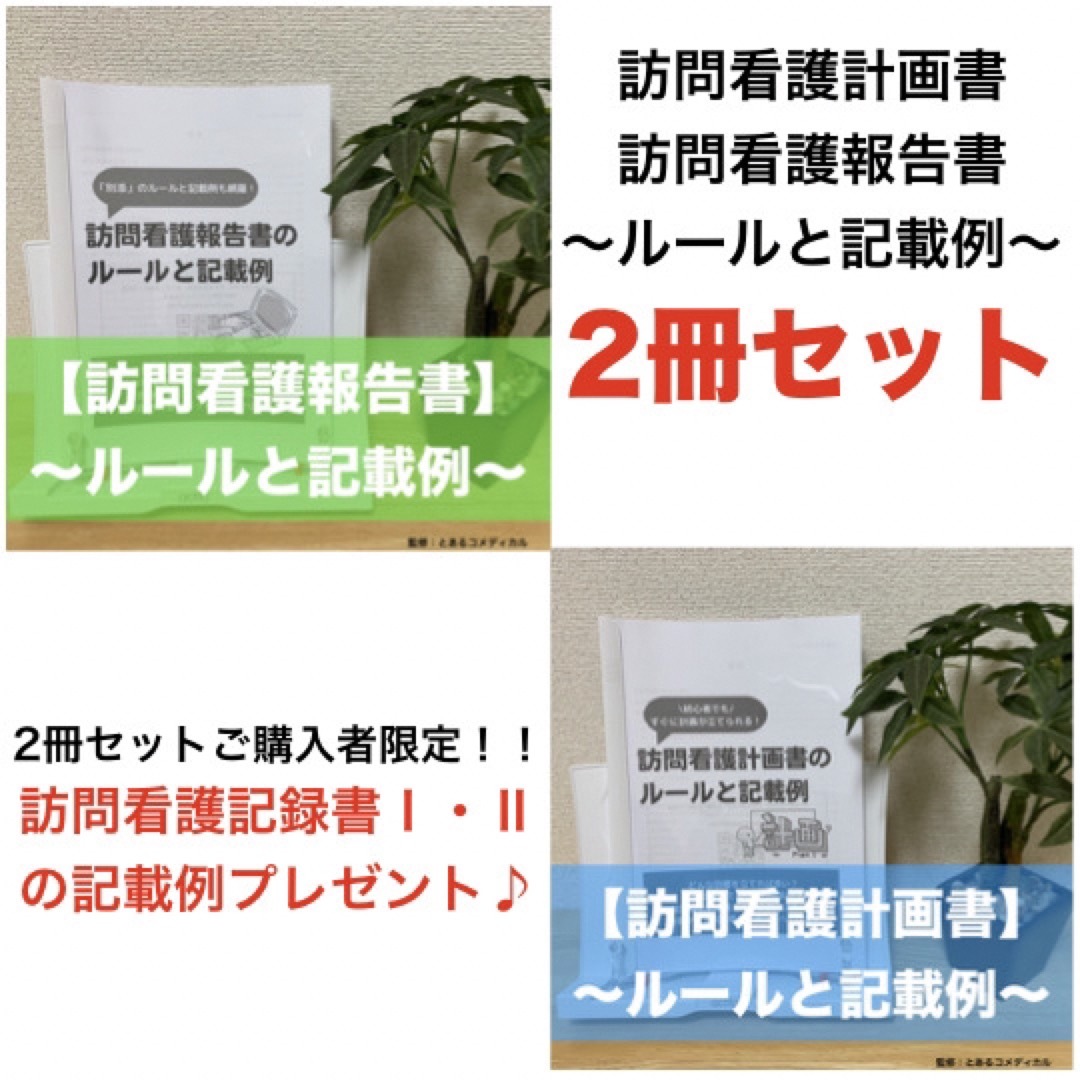 【２冊セット】訪問看護報告書＋訪問看護計画書のルールと記載例 エンタメ/ホビーの本(語学/参考書)の商品写真