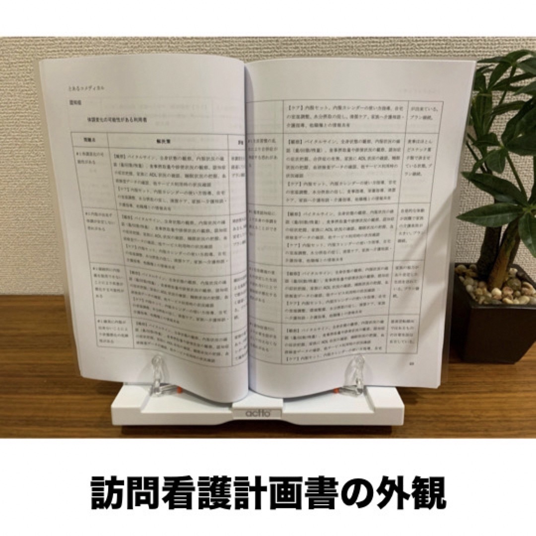 【２冊セット】訪問看護報告書＋訪問看護計画書のルールと記載例 エンタメ/ホビーの本(語学/参考書)の商品写真