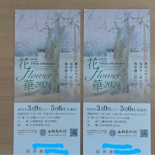 花flower華2024展　山種美術館　チケット2枚(美術館/博物館)