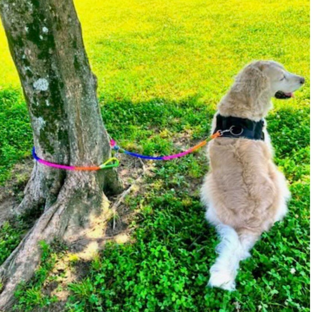 犬 リード ショルダーリード ロープ 小型、中型、大型犬用リード その他のペット用品(犬)の商品写真