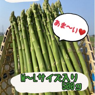 春芽のグリーンアスパラガス500g(野菜)