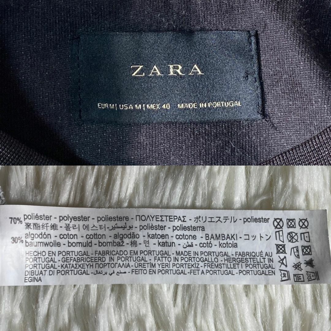 ZARA(ザラ)の美品 ZARA ザラ ライオン 鷹 ファルコン 薔薇 トレーナー 薄手 M メンズのトップス(スウェット)の商品写真