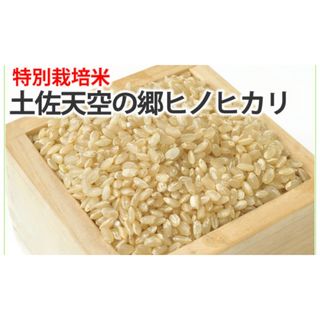 令和4年度産　お米　1.8kg超(米/穀物)