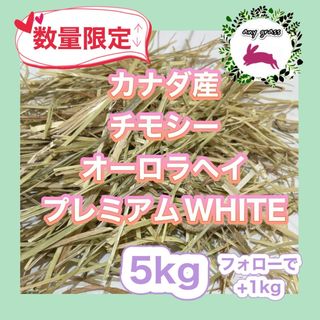 カナダ産チモシーオーロラヘイプレミアムWHITE  5kg  フォローで+1kg(ペットフード)