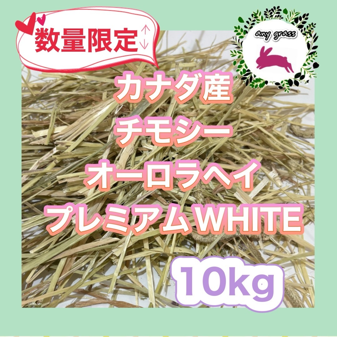 カナダ産チモシーオーロラヘイプレミアムWHITE  10kg   圧縮　無選別 その他のペット用品(ペットフード)の商品写真