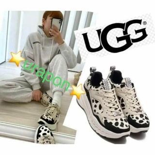 アグ(UGG)の激レア✨④美品✨24厚手～24.5薄手✨UGG✨DALMATIAN✨ダルメシアン(スニーカー)