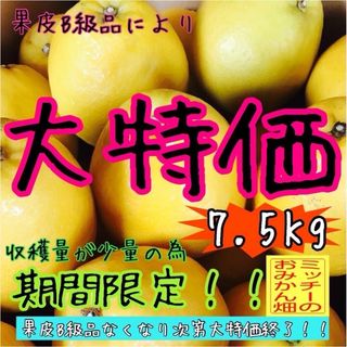 かわちばんかん（愛南ゴールド）【訳あり】《河内晩柑／えひめ県産》  (フルーツ)