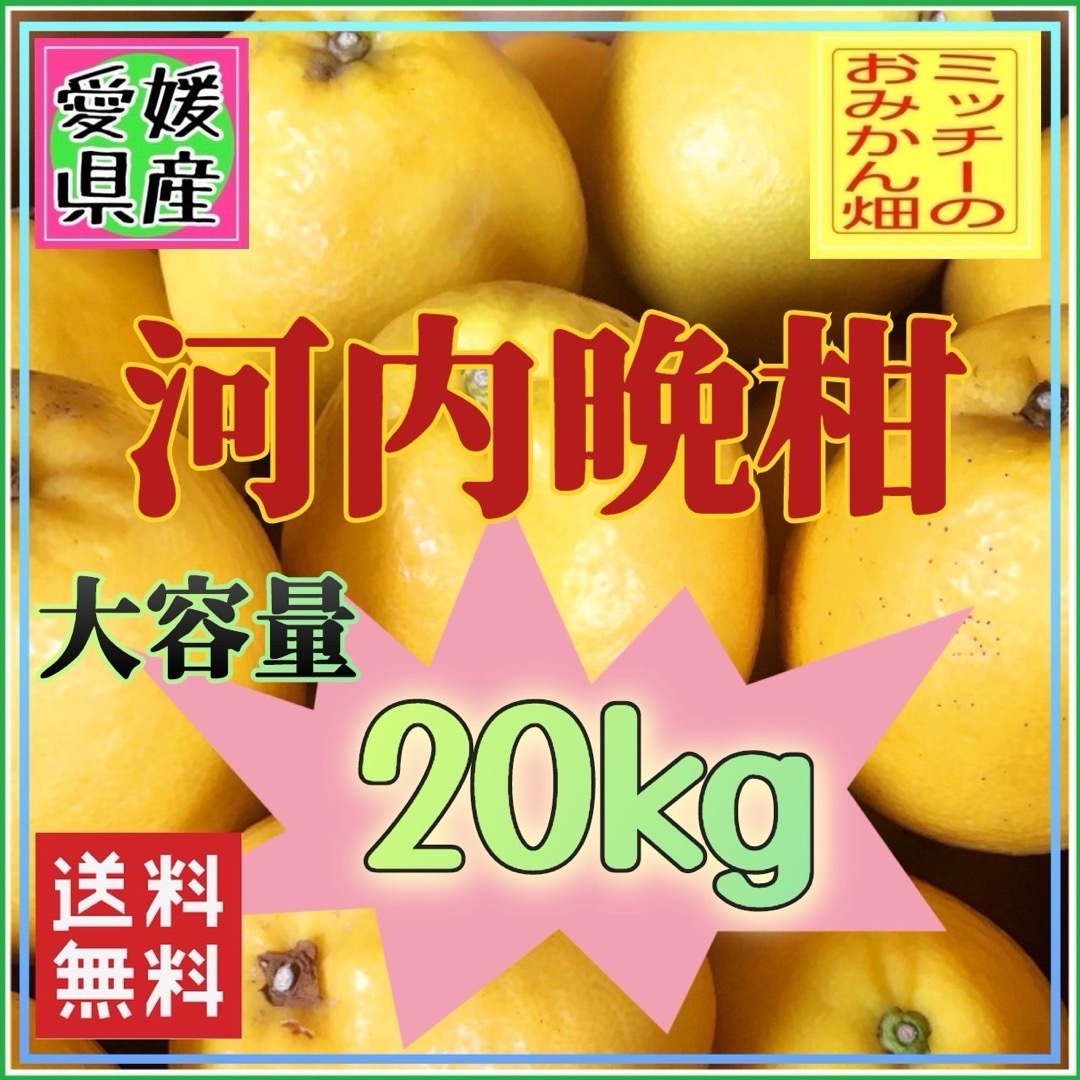 かわちばんかん（愛南ゴールド）【訳あり】《河内晩柑／えひめ県産》   食品/飲料/酒の食品(フルーツ)の商品写真