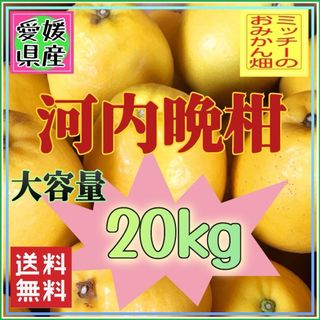 かわちばんかん（愛南ゴールド）【訳あり】《河内晩柑／えひめ県産》  (フルーツ)