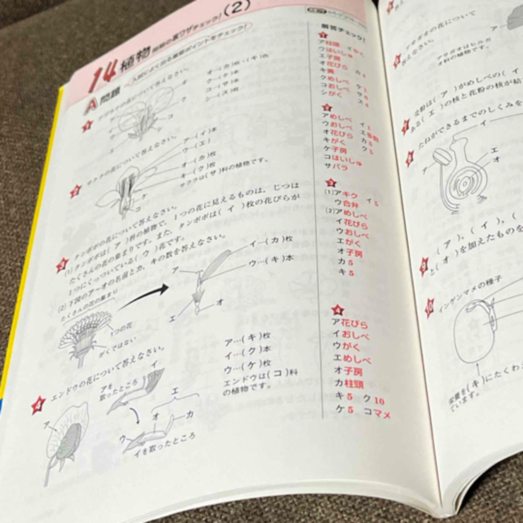 受験理科の裏ワザＷチェック問題集 エンタメ/ホビーの本(語学/参考書)の商品写真