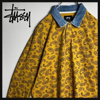 ステューシー(STUSSY)の【即完売モデル】ステューシー　ペイズリー柄　ラガーシャツ　襟切り替え　M(ポロシャツ)