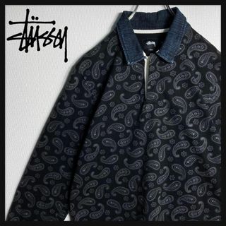 STUSSY - 【美品】ステューシー　ペイズリー柄　ラガーシャツ　襟切り替え　M