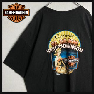 ハーレーダビッドソン(Harley Davidson)の【入手困難】ハーレーダビッドソン　両面ロゴ入り定番カラーTシャツ　3L　ゆるだぼ(Tシャツ/カットソー(半袖/袖なし))