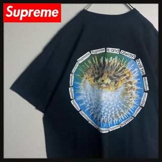 シュプリーム(Supreme)の【希少XLサイズ】シュプリーム　ワンポイントロゴ入り定番カラーTシャツ　ふぐ　黒(Tシャツ/カットソー(半袖/袖なし))