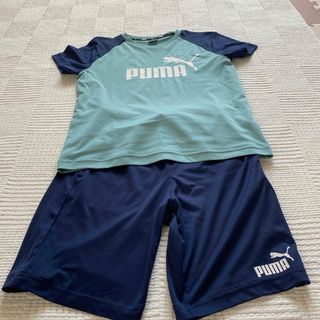 プーマ(PUMA)のスポーツウェア(ウェア)