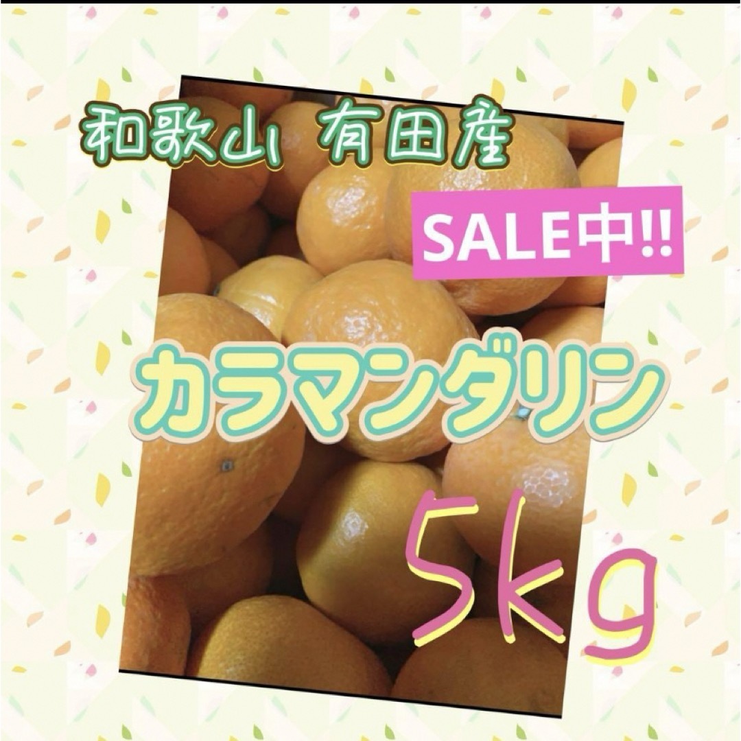 和歌山有田産 カラマンダリン5kg 食品/飲料/酒の食品(フルーツ)の商品写真