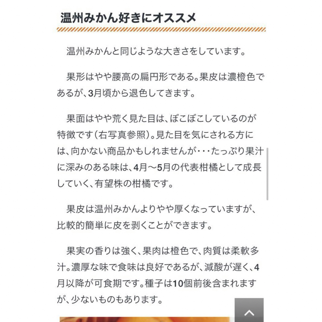 和歌山有田産 カラマンダリン5kg 食品/飲料/酒の食品(フルーツ)の商品写真