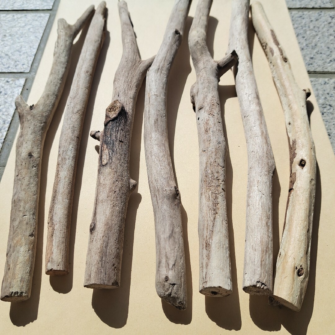 三陸海岸  流木  19 ハンドメイドの素材/材料(各種パーツ)の商品写真