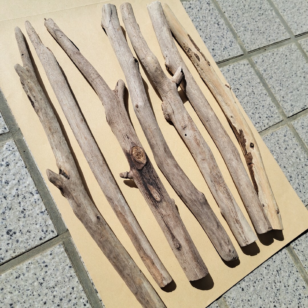 三陸海岸  流木  19 ハンドメイドの素材/材料(各種パーツ)の商品写真