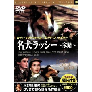 名犬ラッシー　家路(外国映画)