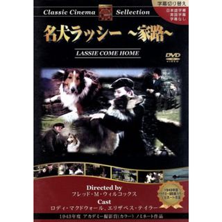 名犬ラッシー　家路：：クラシックシネマセレクション(外国映画)