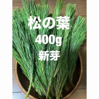 秋田県産松の葉400g新芽(野菜)