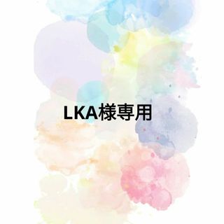 ★LKA様専用ページです★(菓子/デザート)