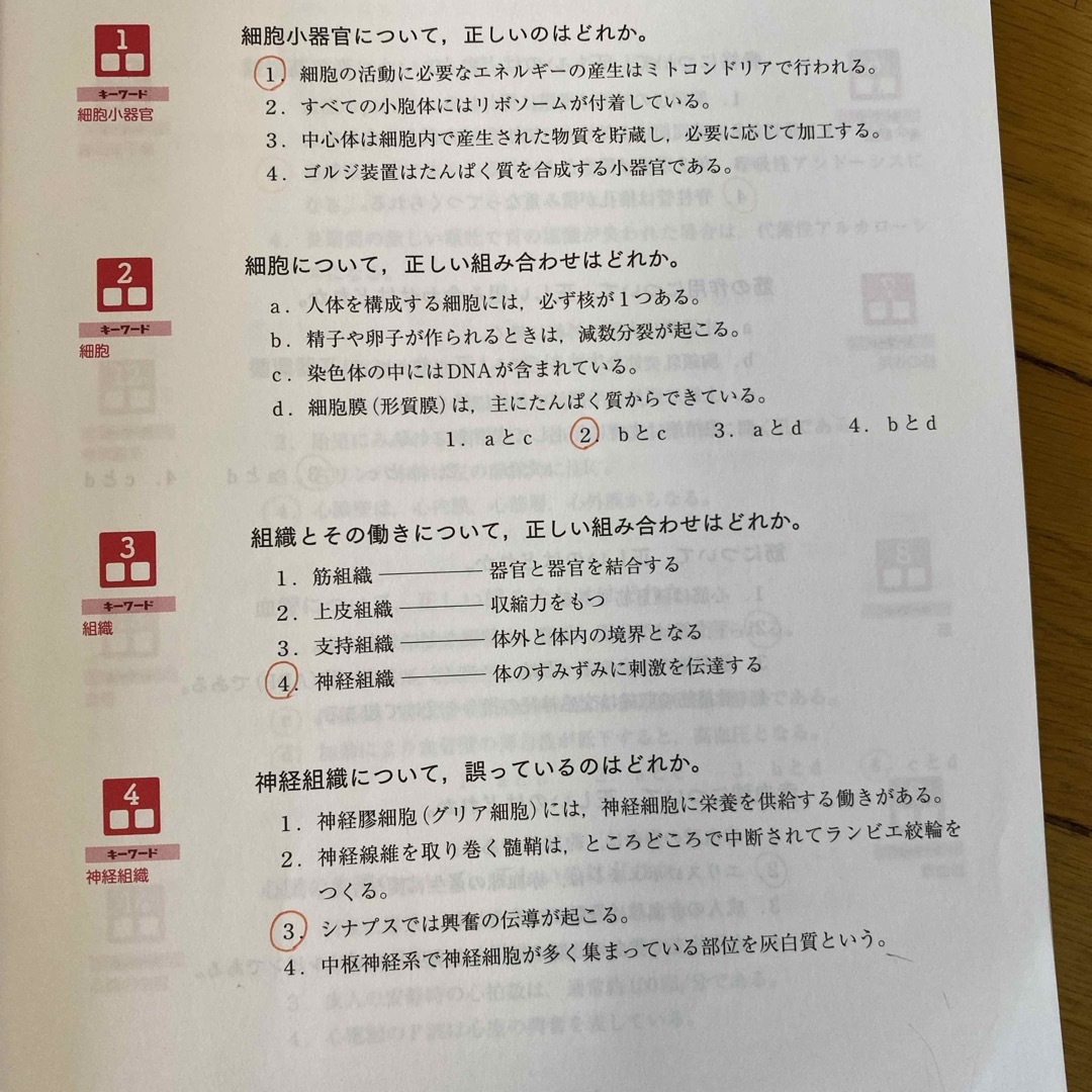 看護学生増刊 2023准看護師試験全科四肢択一問題集 2022年 05月号 [雑 エンタメ/ホビーの雑誌(専門誌)の商品写真