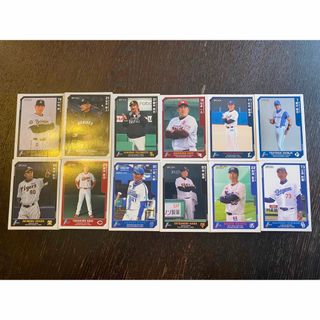 エポック　2023 プロ野球　425枚セット　野球カード　エポックカード　(スポーツ選手)