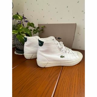 LACOSTE - ラコステスニーカー★美品