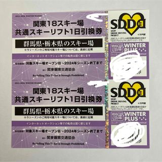 関東18スキー場 共通スキーリフト１日引換券2枚