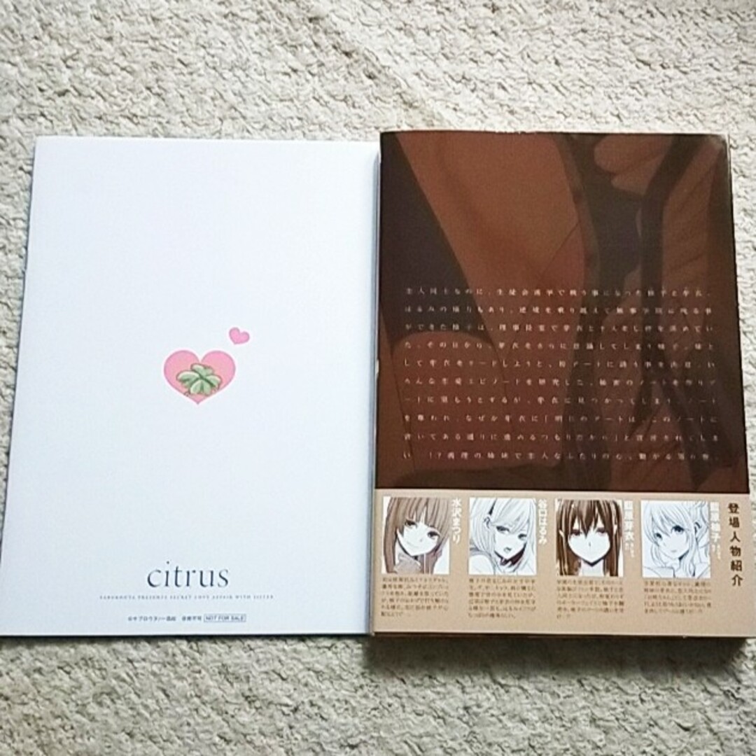 一迅社(イチジンシャ)の漫画『citrus シトラス』6巻【特装版】サブロウタ《小冊子付き》帯付き エンタメ/ホビーの漫画(その他)の商品写真