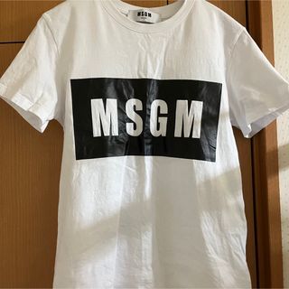 エムエスジイエム(MSGM)のMSGM Tシャツ(Tシャツ(半袖/袖なし))