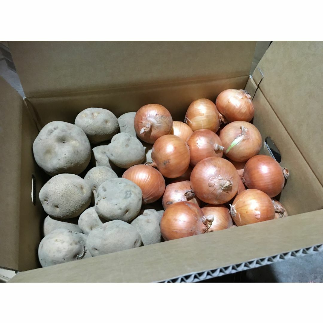 北海道産　ジャガイモとタマネギのセット　10kg　農家直送 食品/飲料/酒の食品(野菜)の商品写真