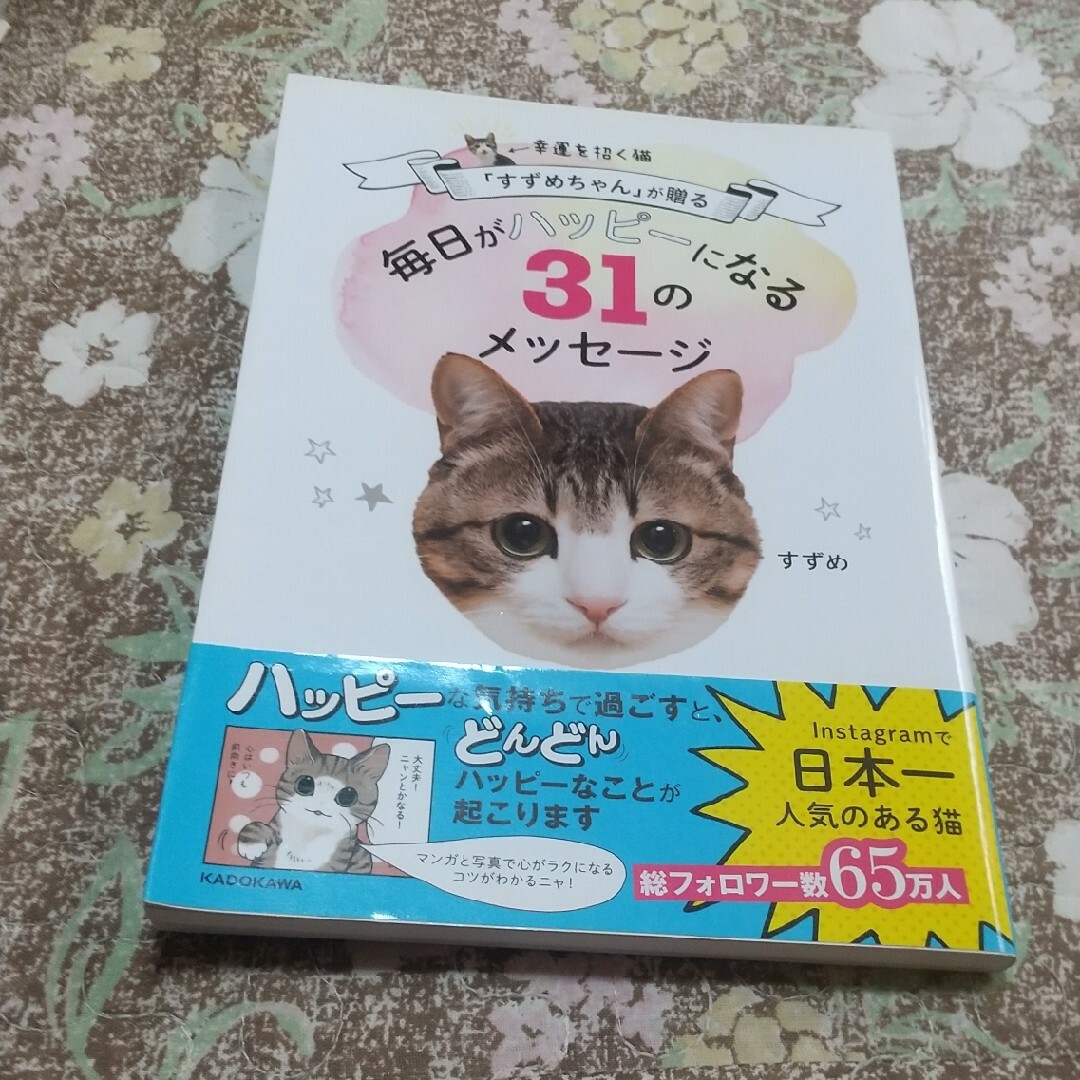 幸運を招く猫「すずめちゃん」が贈る毎日がハッピーになる３１のメッセージ エンタメ/ホビーの本(文学/小説)の商品写真