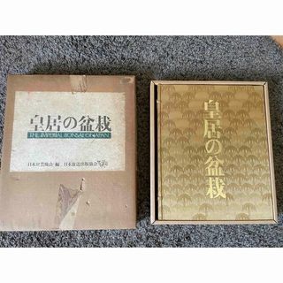 【美品・箱付】 皇居の盆栽(その他)