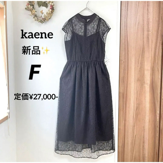カエン(Kaene)の新品✨ kaene  定価¥27,000- オールレース ワンピース　パーティー(ロングドレス)