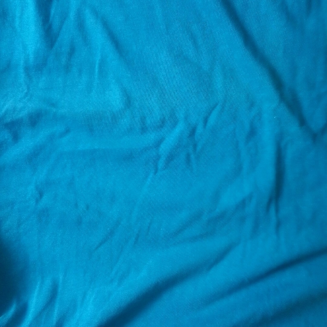 STUSSY(ステューシー)のステューシーロングスリーブ９０年代初期のビンテージ メンズのトップス(Tシャツ/カットソー(七分/長袖))の商品写真