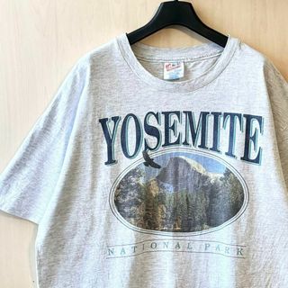 ヘインズ(Hanes)の90s メキシコ製古着　ヴィンテージ　ヘインズ　Tシャツ　ヨセミテ国立公園　霜降(Tシャツ/カットソー(半袖/袖なし))