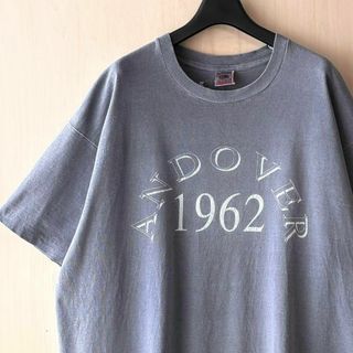 フルーツオブザルーム(FRUIT OF THE LOOM)の90sUSA製古着　ヴィンテージ　Tシャツ　後染め　風合いGOOD 両面プリント(Tシャツ/カットソー(半袖/袖なし))