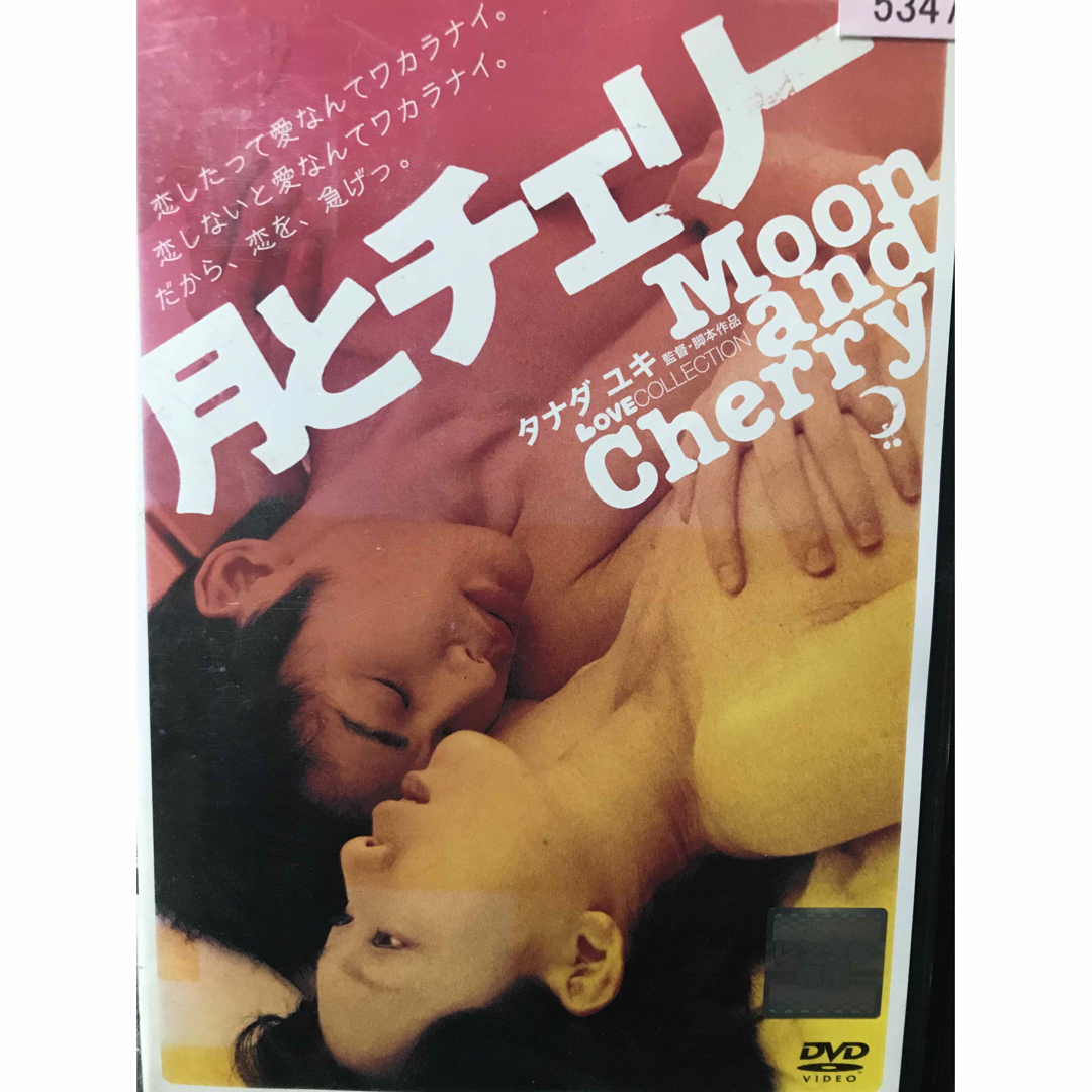 『月とチェリー』DVD エンタメ/ホビーのDVD/ブルーレイ(日本映画)の商品写真