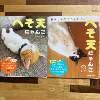 へそ天にゃんこ　2冊セット　本　写真集(その他)