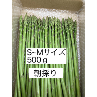 グリーンアスパラガス　500g(野菜)