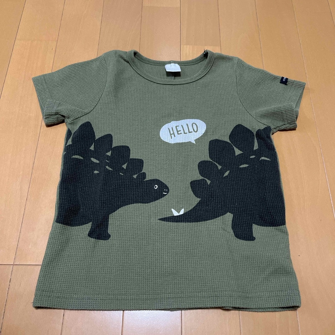 ステゴサウルスTシャツ　120 キッズ/ベビー/マタニティのキッズ服男の子用(90cm~)(Tシャツ/カットソー)の商品写真