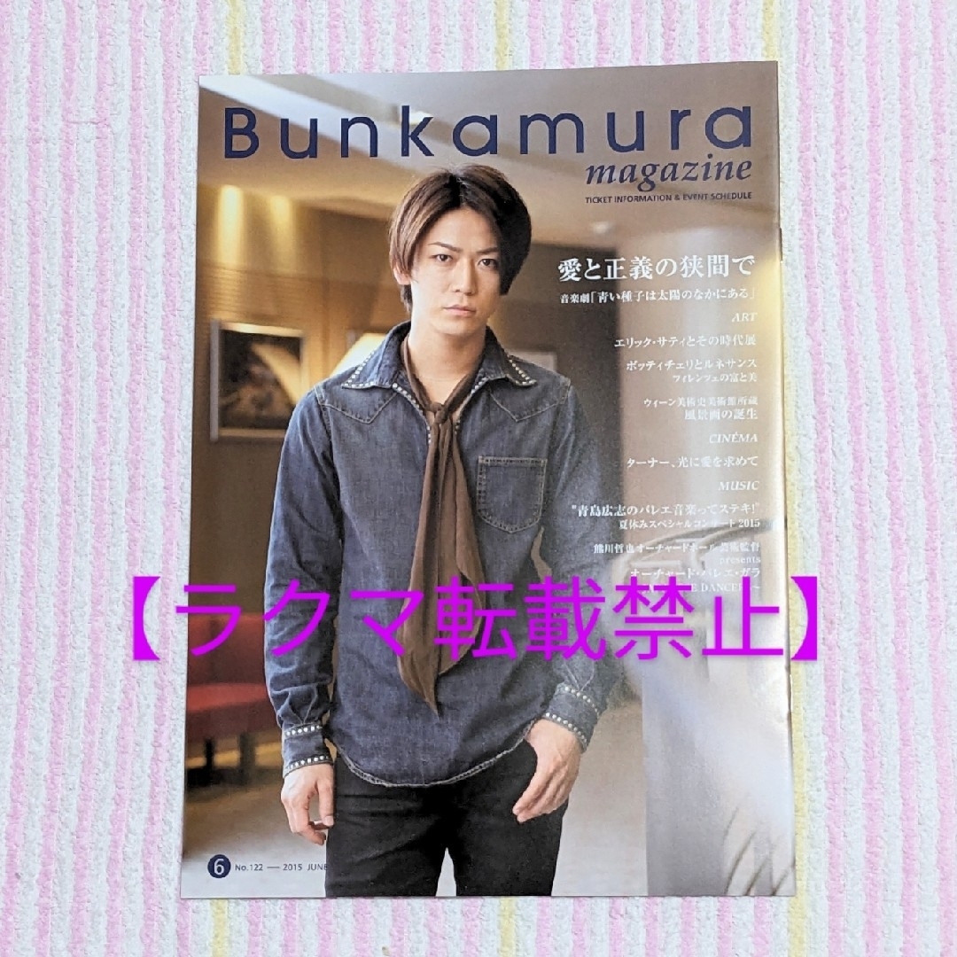 KAT-TUN(カトゥーン)の亀梨和也『青い種子は太陽のなかにある』パンフレット フライヤーBunkamura エンタメ/ホビーの本(アート/エンタメ)の商品写真