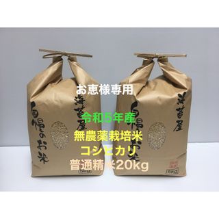 お恵様専用 無農薬コシヒカリ普通精米20kg(5kg×4)令和5年産(米/穀物)